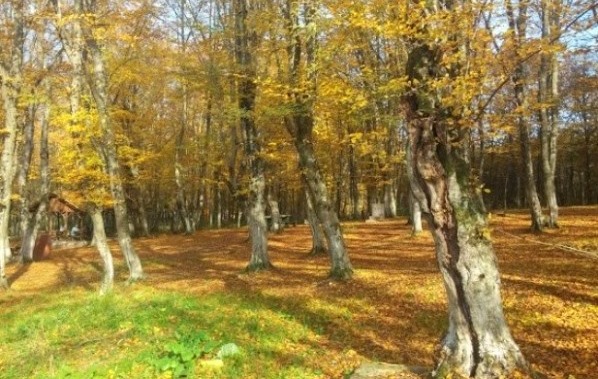 Balamba Tabiat Parkı bartın